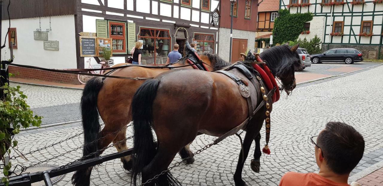 Art Apartment - Harz Stolberg i. Harz エクステリア 写真